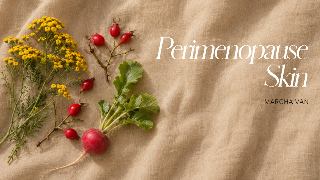 Perimenopause Skin: What Actually Changes, and What Actually Helps