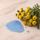 Blue Tansy Calming Facial Oil
