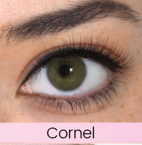 Natural Magnetic Lashes