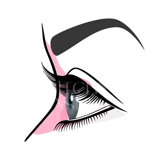 Human Eyes Vectors Eye types collection Eye shapes Eye - Portugal