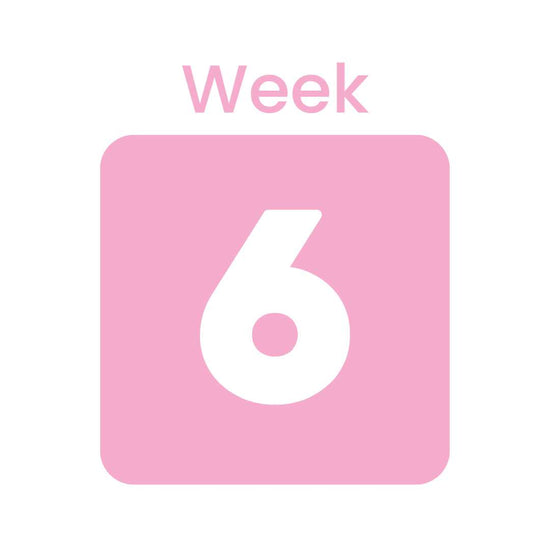 Week 6 of natural lash conditioning, less breakage and healthier looking lashes