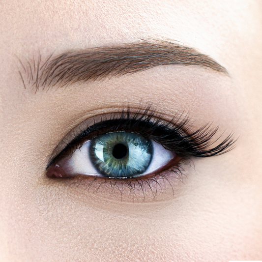 Tabitha Magnetic Lash — Dramatic Wing Accent